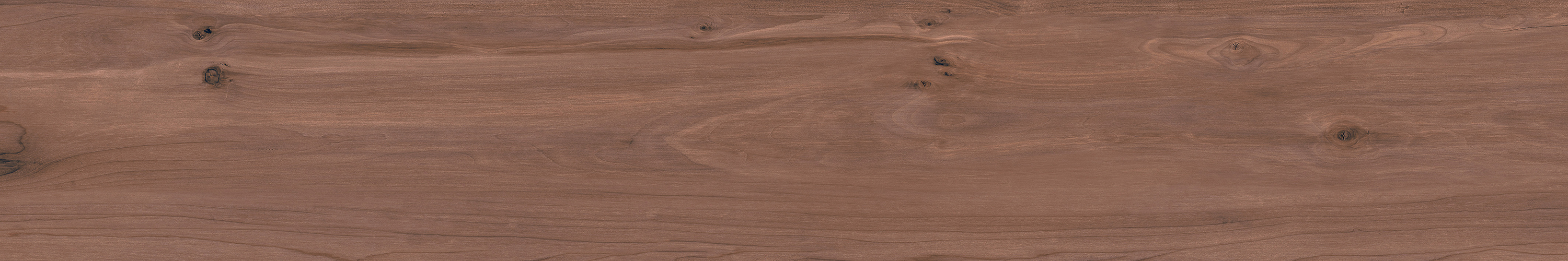 Rovere 200x1200mm